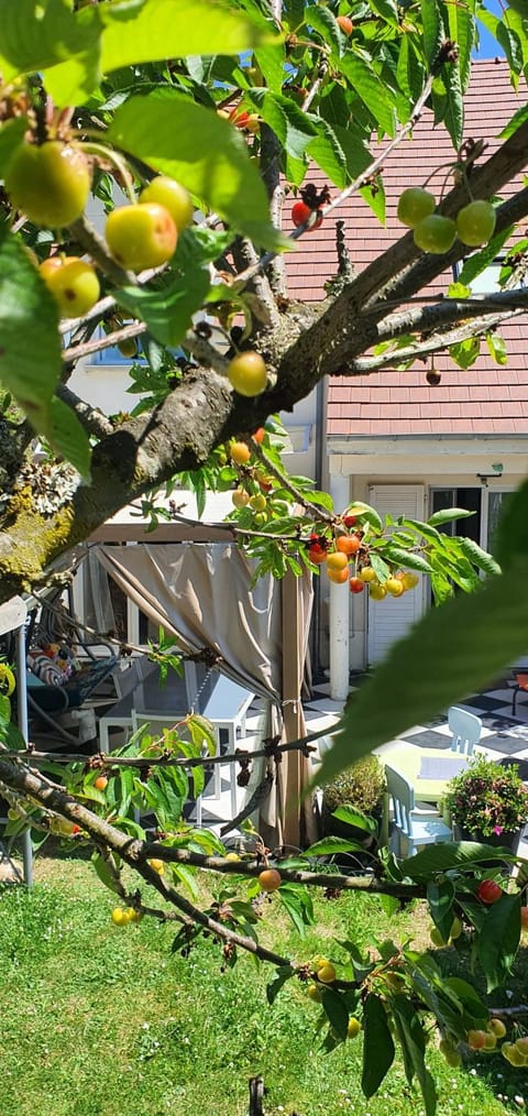 Hello Disneyland Paris House in Bussy-Saint-Georges