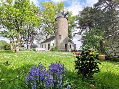 Property building, Spring, Day, Natural landscape, Garden, Garden view