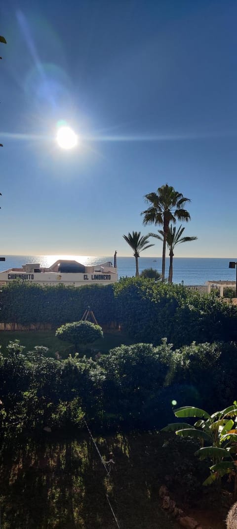 Garden, Sea view