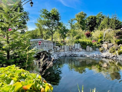Summer, Garden, Garden view, Garden view