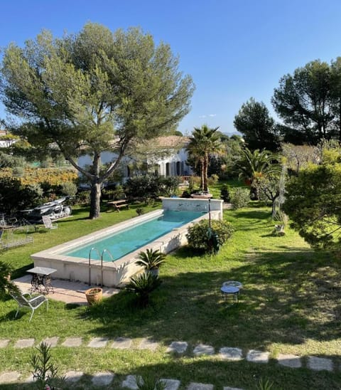 Garden, Garden view, Swimming pool