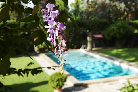 Natural landscape, Pool view, Swimming pool