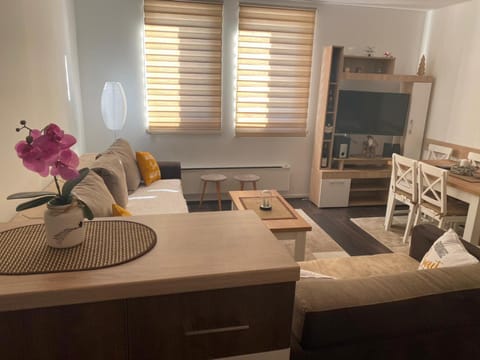 Sunčani breg apartman 7 Apartment in Serbia