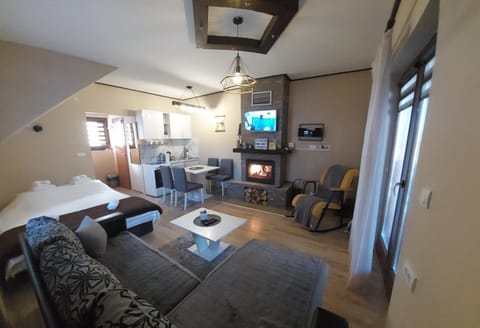 Vila MINA Villa in Zlatibor District, Serbia