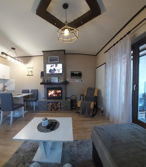 Vila MINA Villa in Zlatibor District, Serbia