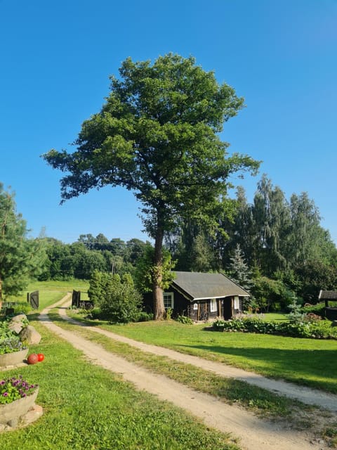 4gilės Villa in Lithuania