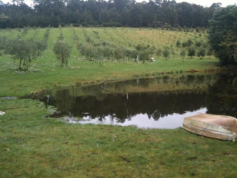 Natural landscape, Lake view