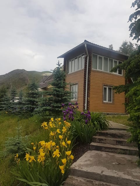 Property view