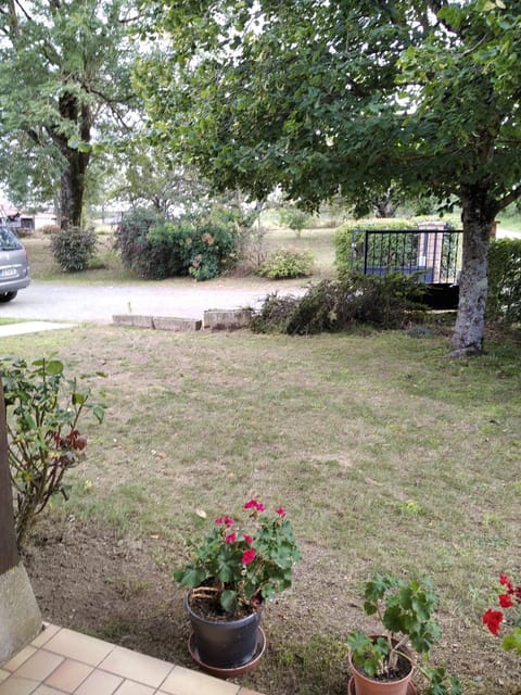 Patio, Garden