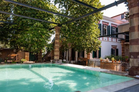 Day, Garden, Garden view, Pool view, Swimming pool