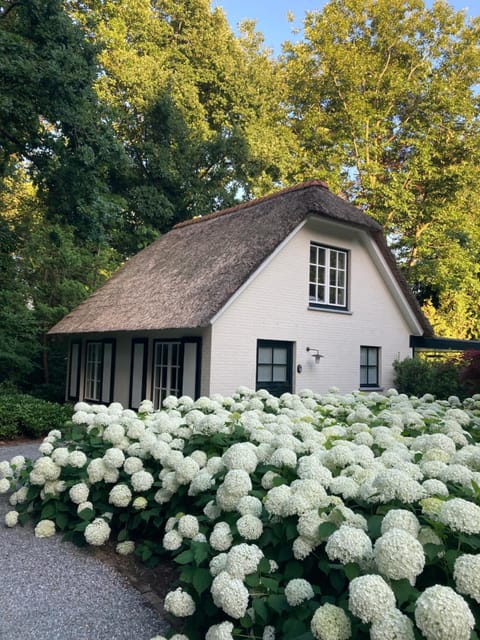 Schilde Cottage House in North Brabant (province)