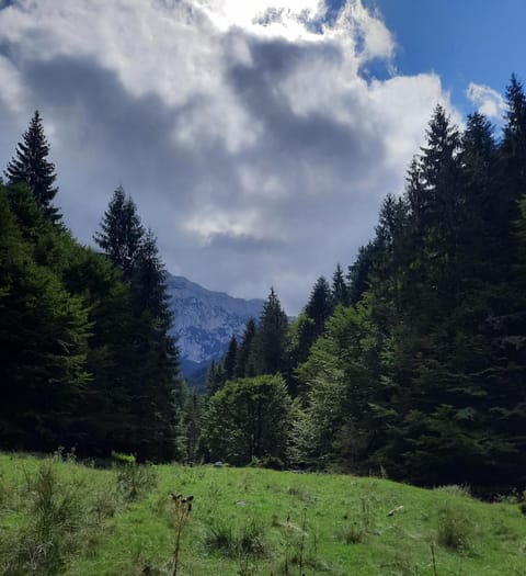 Natural landscape, Mountain view