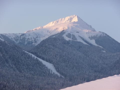 Finest Luxury Penthouse Bansko Royal Towers Apartment in Bansko