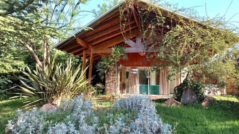 Spring, Natural landscape, Garden, Garden view