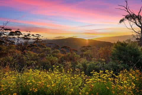 Mountain view