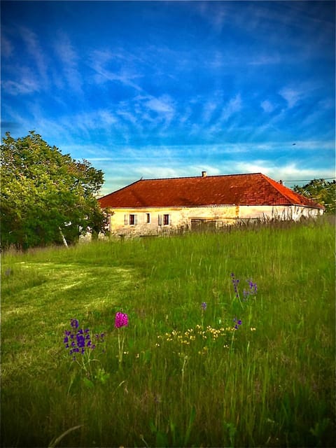 Property building, Natural landscape, Garden, Hiking