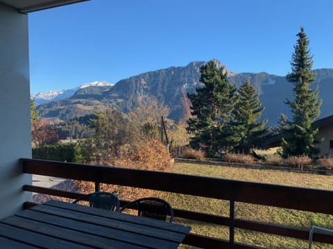 Rose des Alpes Apartment in Haute-Savoie