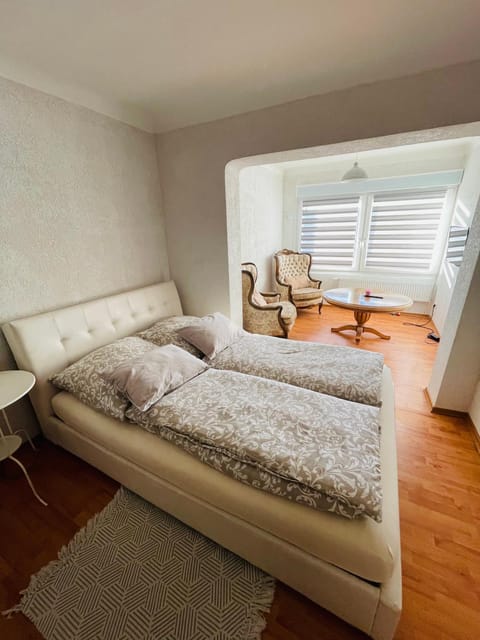 Apartment Marielena Apartment in Saarbrücken