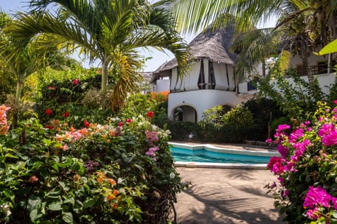 Day, Garden, Garden view, Pool view
