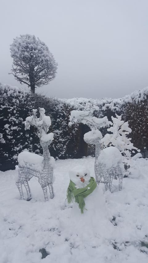 Die alte Schule Häuschen House in Wallonia, Belgium