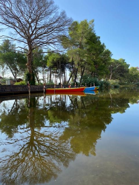 Natural landscape, Lake view