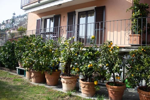 Panoramic Orselina Apartment in Locarno