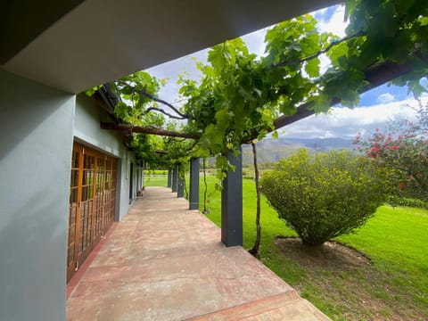 Spring, Natural landscape, Garden view