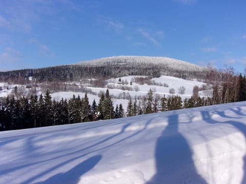 Natural landscape, Winter, Mountain view