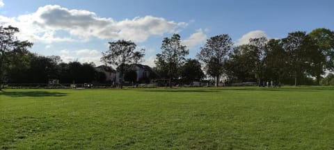 Maple House House in Bristol