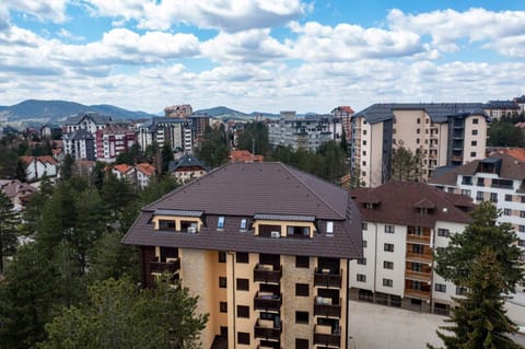 Apartment Vienna 2 Apartment in Zlatibor