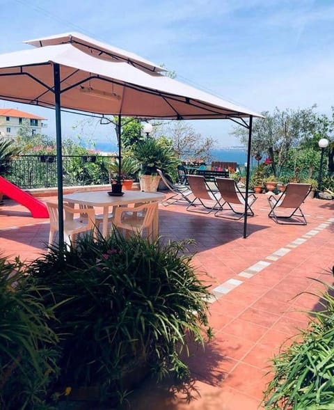 Patio, Day, Natural landscape, Garden, Garden view, sunbed