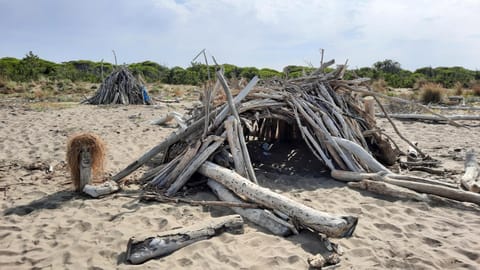 A casa di Laura Apartment in Principina a Mare
