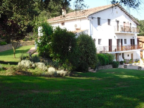 Property building, Day, Garden
