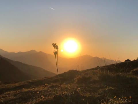 Buchberg Apartments, Ferienwohnung Apartment in Salzburgerland
