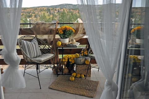 Viline kose Apartment in Zlatibor District, Serbia