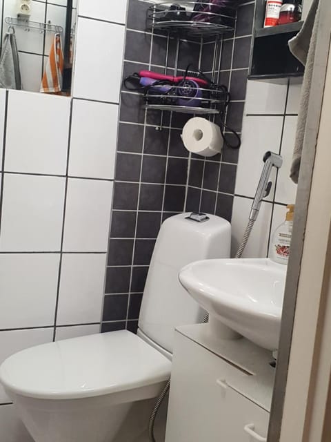 Mukava talo maaseudulla lähellä keskustaa Apartment in Finland