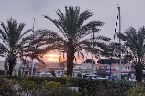 Sunrise