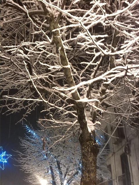 Bed & Breakfast La dodicesima Notte Bed and Breakfast in Basilicata