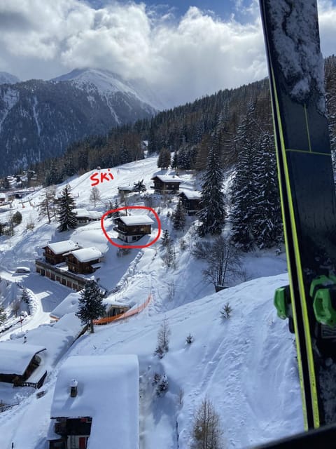 LA TZOUMAZ - VERBIER 4 Vallées - Grand Chalet 5 chambres, Ski IN/OUT, Sauna Chalet in Riddes