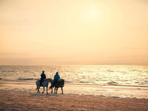 Luxury apartment in Renesse with infrared sauna Apartment in Renesse