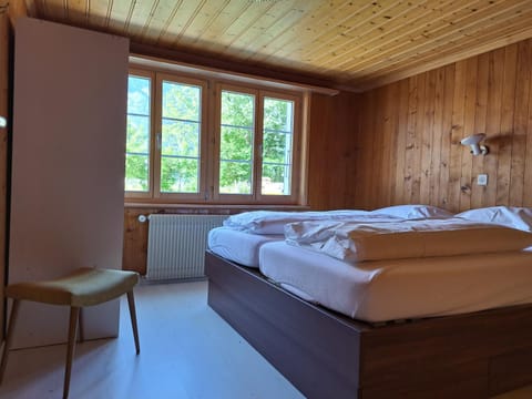 Chalet Engi Apt 1 for up to 8 People Apartment in Grindelwald