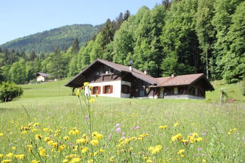 Property building, Natural landscape, Garden