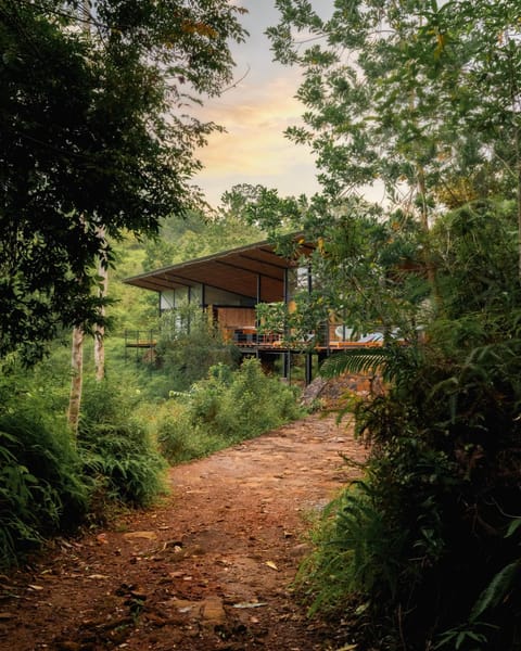 Property building, Garden, Garden view