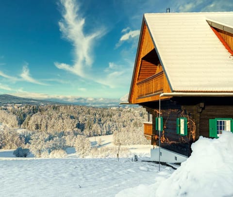 Property building, Winter, Mountain view