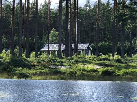 Lake view