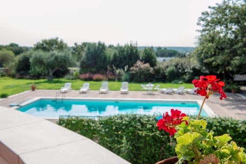 Garden, Swimming pool