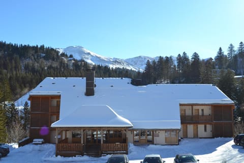 Property building, Winter