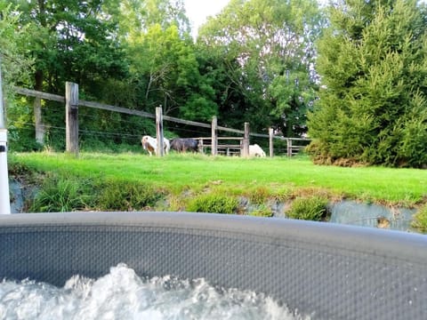 Spa and wellness centre/facilities