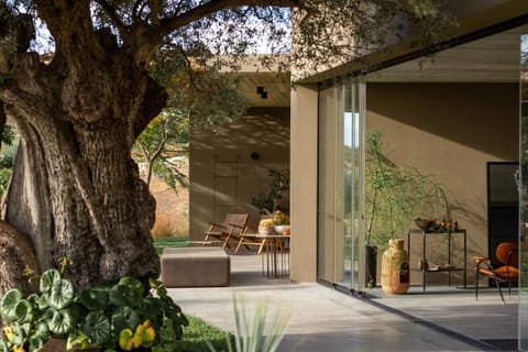 Patio, Garden view