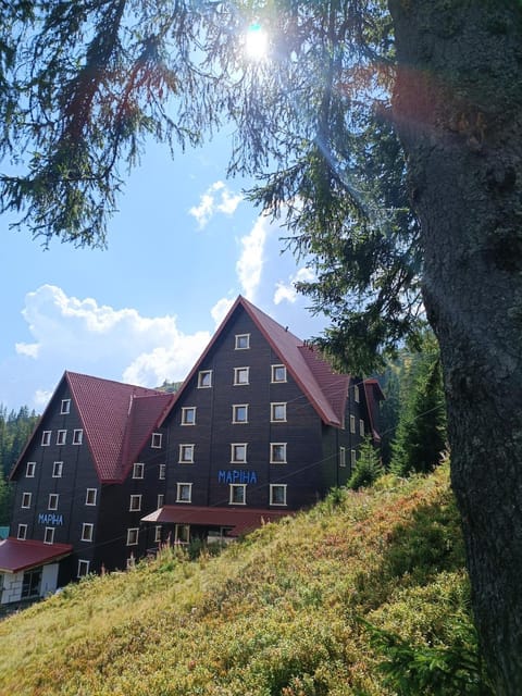 Property building, Day